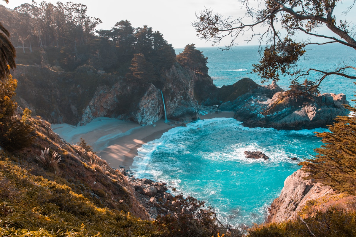 バス停